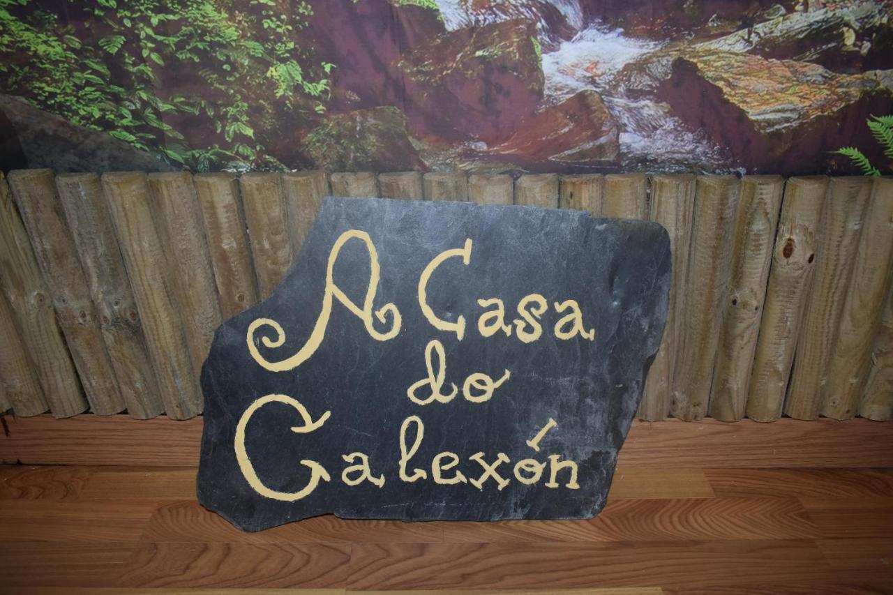 A Casa Do Calexon * Viveiro